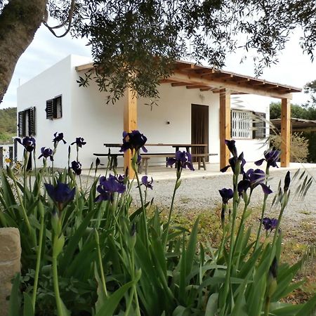 Sa Vinya Casa De Campo Es Cubells Exterior foto